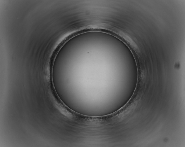 X0000101200934200807071311