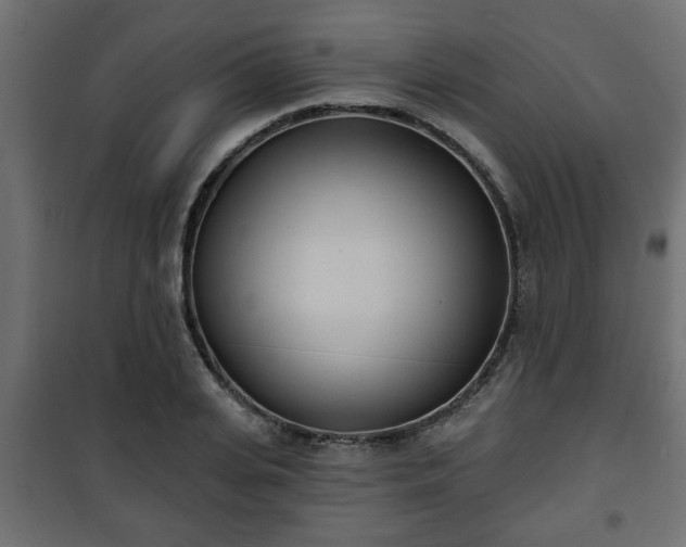 X0000101200935200807071311