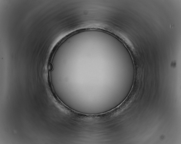 X0000101200936200807071311