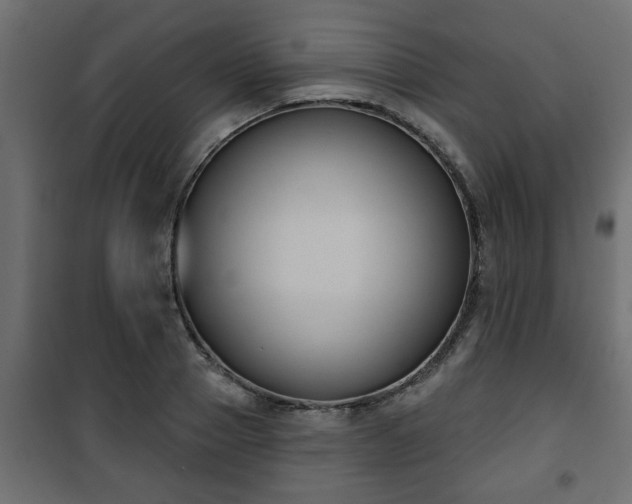 X0000101200937200807071311