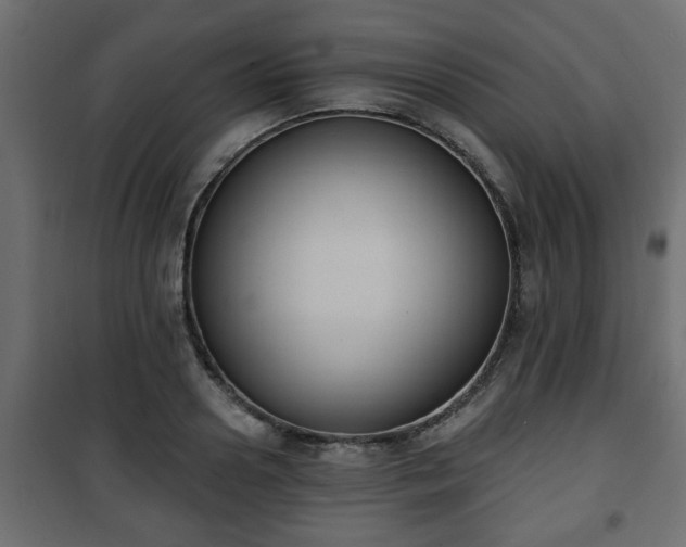X0000101200938200807071311