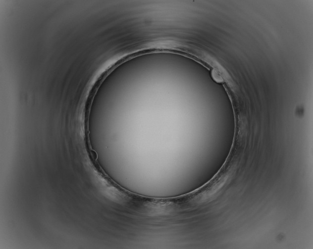 X0000101200939200807071311