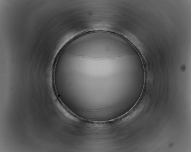 X0000101200941200807071311