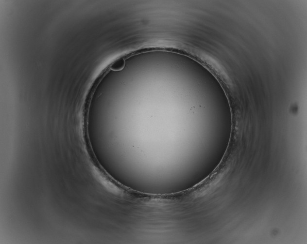 X0000101200942200807071311