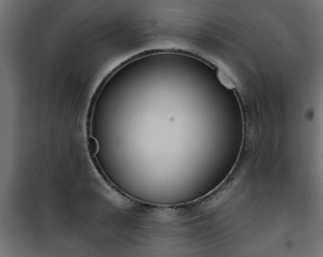 X0000101200943200807071311