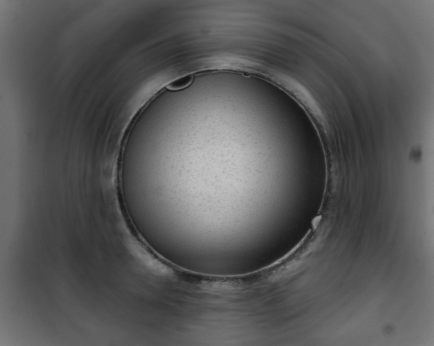 X0000101200946200807071311