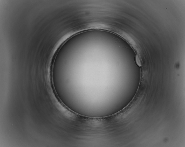 X0000101200947200807071311