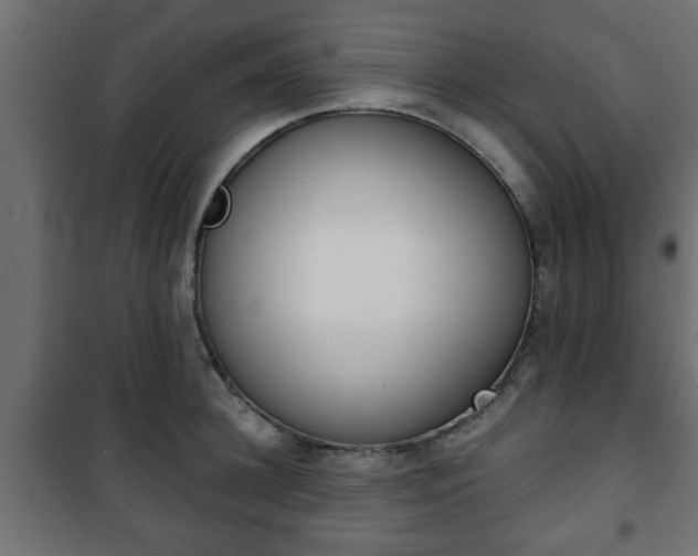 X0000101200948200807071311