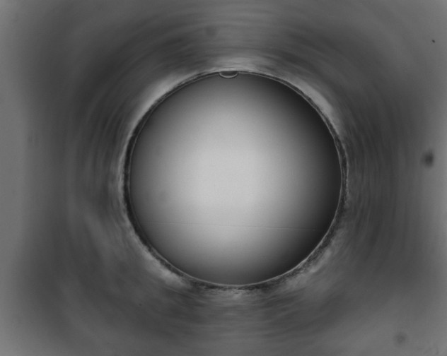 X0000101200949200807071311