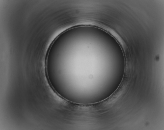 X0000101200951200807071311