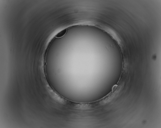X0000101200952200807071311