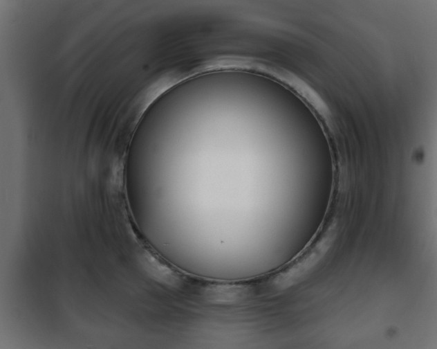 X0000101200953200807071311