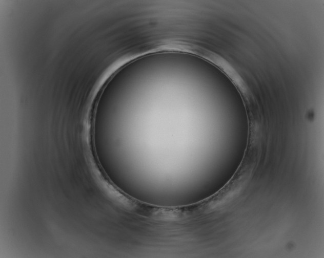 X0000101200955200807071311