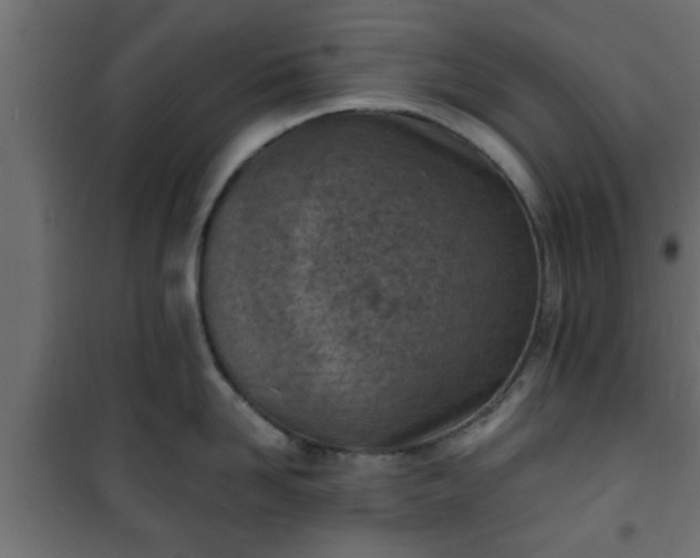 X0000101200958200807071311