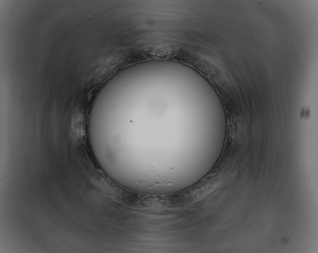 X0000101200962200807071310