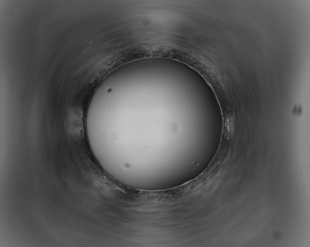 X0000101200963200807071310
