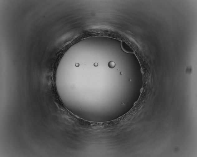 X0000101200965200807071310