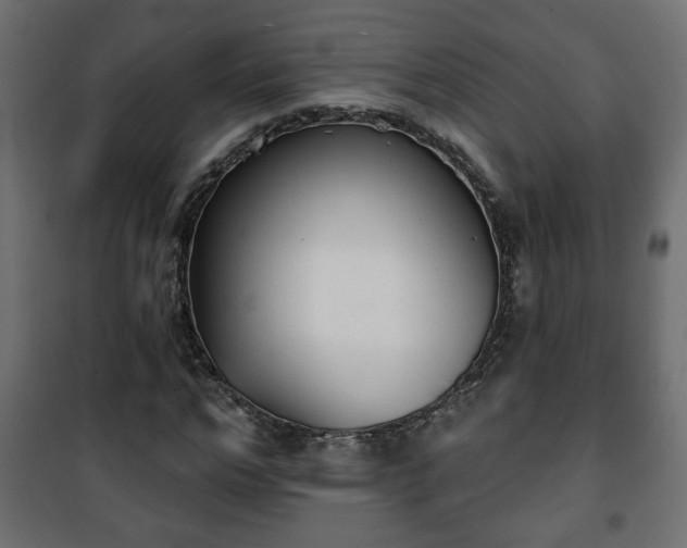 X0000101200968200807071310