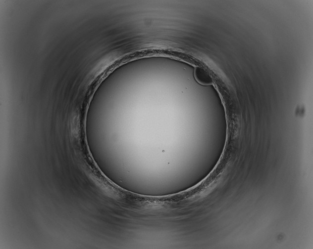 X0000101200969200807071310
