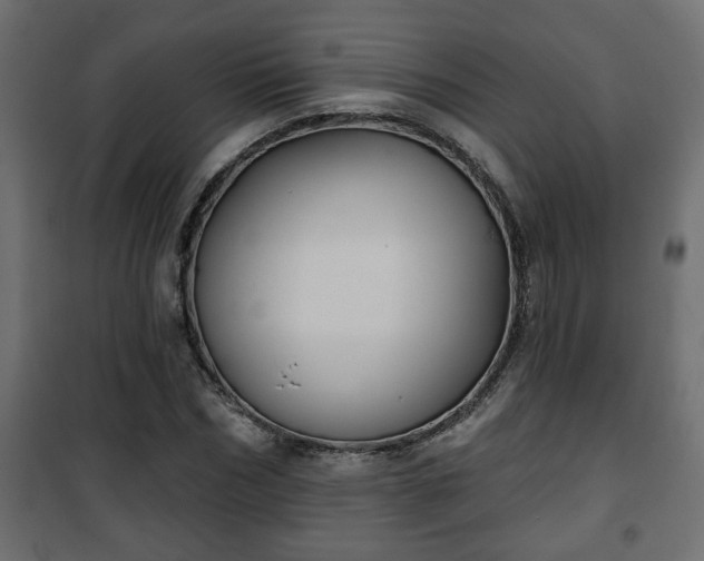 X0000101200970200807071310