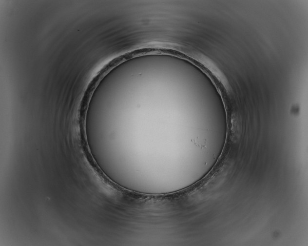 X0000101200972200807071310