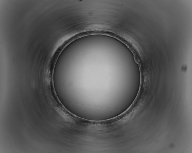 X0000101200973200807071310