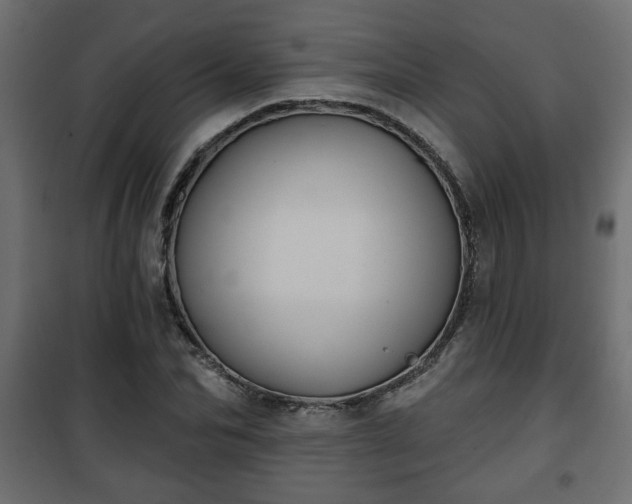 X0000101200974200807071310