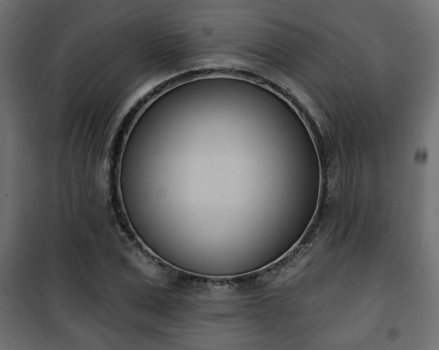 X0000101200975200807071310