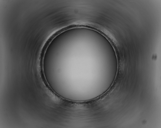 X0000101200976200807071310