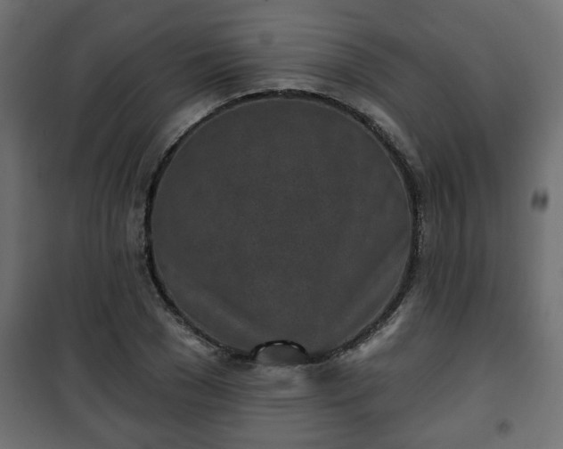 X0000101200977200807071310