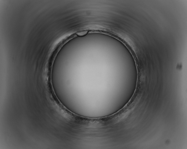 X0000101200979200807071310