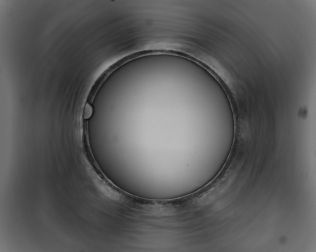 X0000101200980200807071310