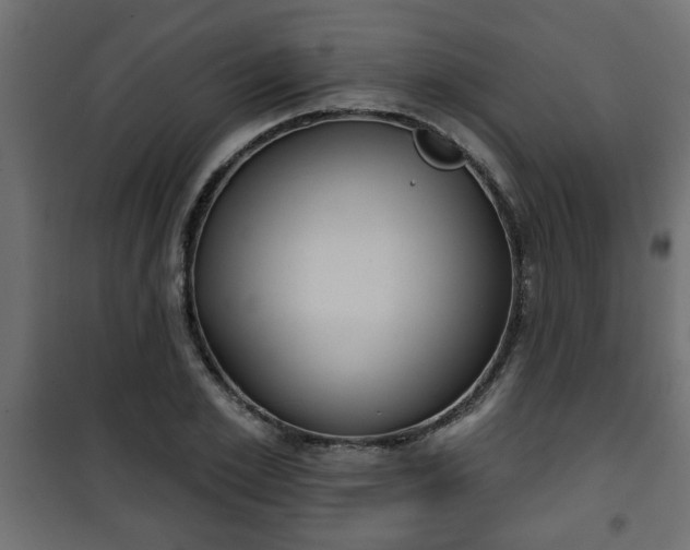 X0000101200981200807071310