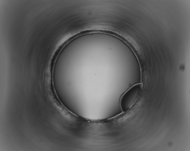 X0000101200982200807071310