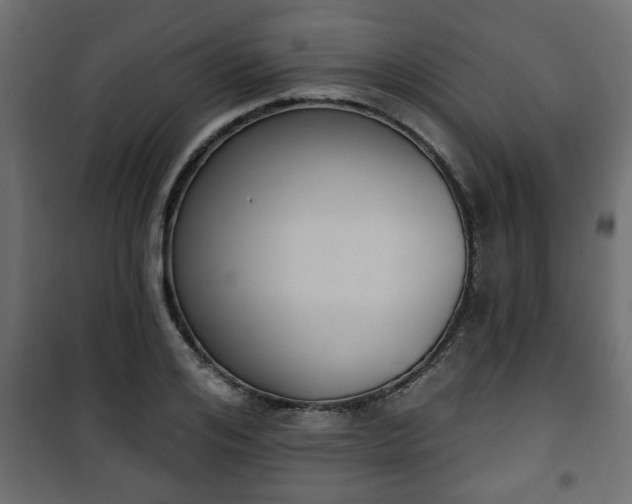 X0000101200984200807071310