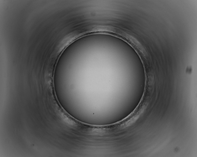 X0000101200985200807071310