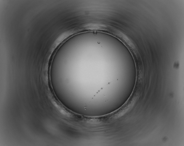 X0000101200986200807071310