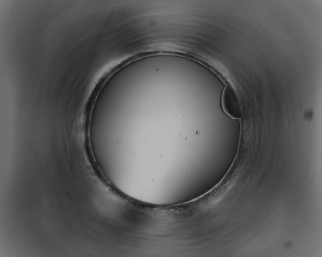 X0000101200987200807071310