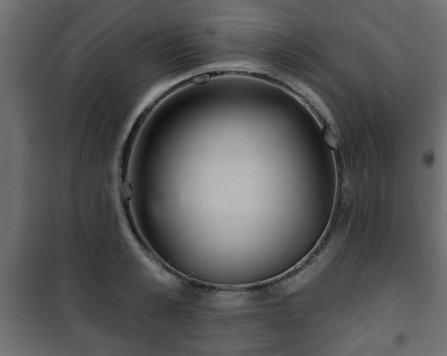 X0000101200989200807071310
