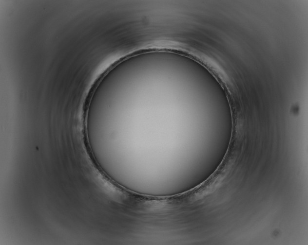 X0000101200990200807071310