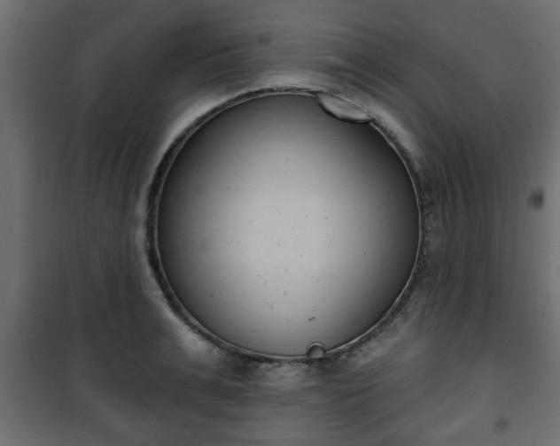X0000101200991200807071310
