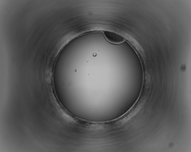 X0000101200993200807071310