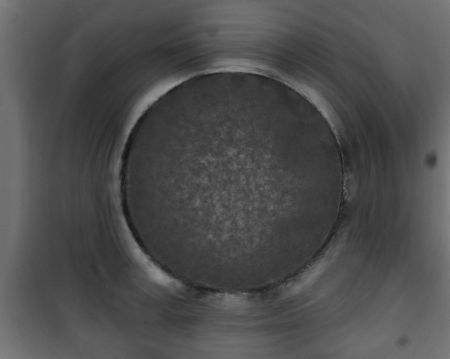 X0000101200995200807071310
