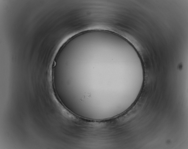 X0000101200996200807071310