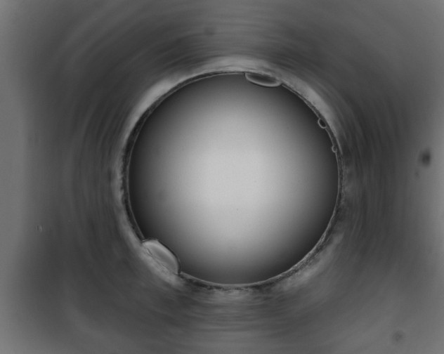 X0000101200997200807071310
