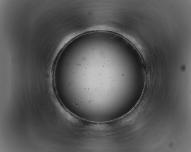 X0000101200998200807071310