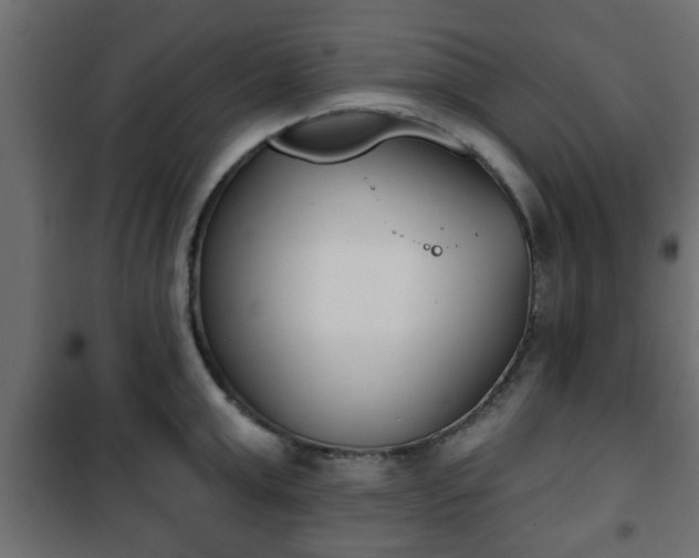 X0000101200999200807071310