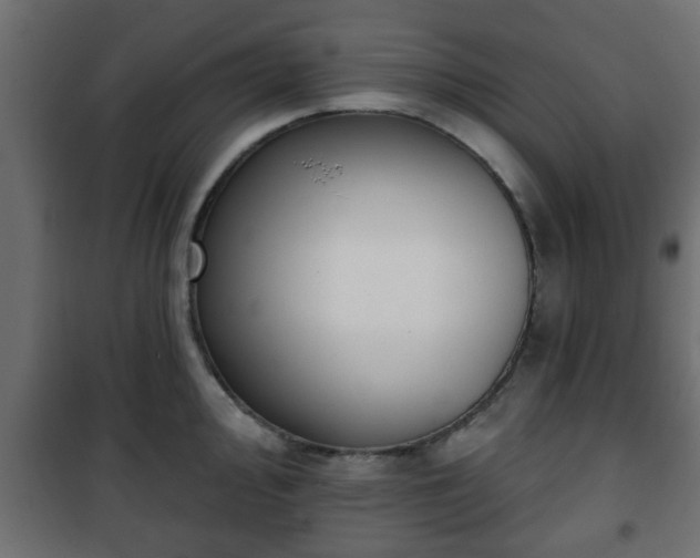 X0000101201000200807071310
