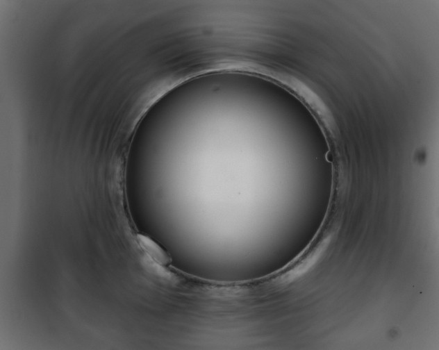 X0000101201001200807071310