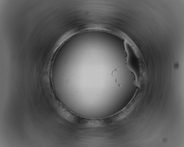 X0000101201002200807071310